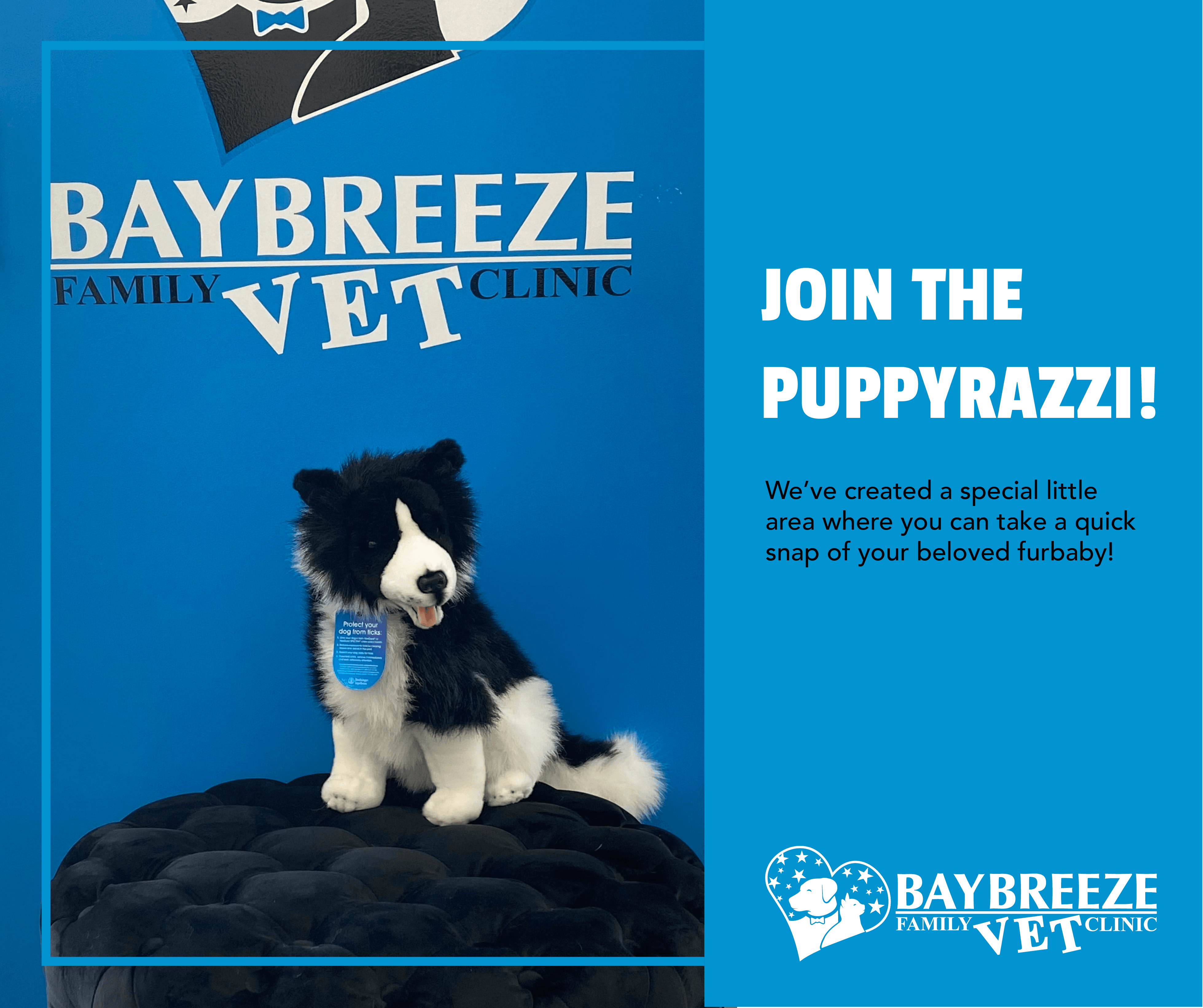 Join The Puppyrazzi! Join The Puppyrazzi!
